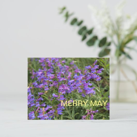 Merry May Briefkaart (Staand voorkant)