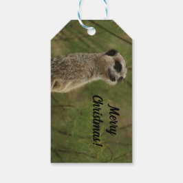 Merry Meercat Christmas Label Cadeaulabel