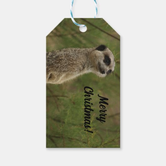 Merry Meercat Christmas Label Cadeaulabel (Voorkant)