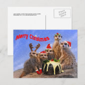 Merry Meerkats Briefkaart (Voorkant / Achterkant)