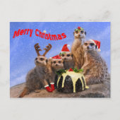 Merry Meerkats Briefkaart (Voorkant)