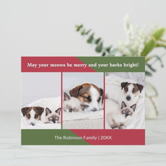 Merry Meows Grappige Hond Kat Foto Kerstmis Feestdagenkaart (Staand voorkant)