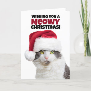 Merry Meowy Kerstmis en Gesponnen nieuwjaarskat Feestdagen Kaart