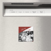 Merry, Merry, magnet (Insitu (Vaatwasser))