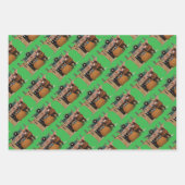 Merry Old Christmas Elf, Jessie Willcox Smith Inpakpapier Vel (Voorkant 2)