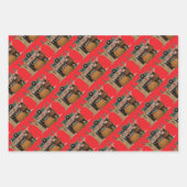 Merry Old Christmas Elf, Jessie Willcox Smith Inpakpapier Vel (Voorkant)