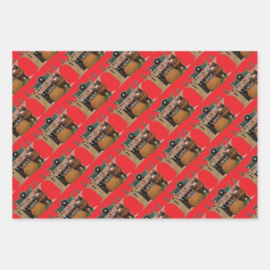 Merry Old Christmas Elf, Jessie Willcox Smith Inpakpapier Vel (Voorkant)