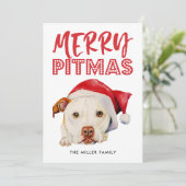 Merry Pitmas | Funny Santa Pit Bull Dog Feestdagenkaart (Staand voorkant)