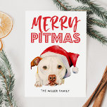 Merry Pitmas | Funny Santa Pit Bull Dog Feestdagenkaart<br><div class="desc">Schattige illustratie van de waterverf van een witte Amerikaanse pit stier met een rode santa-hoed. Er staat "Merry Pitmas" boven de hond. De achterkant van de kaart heeft een rood en wit vlecht patroon. De perfecte kaart voor pit-liefhebbers en eigenaars zodat ze hun huisdieren kunnen meenemen naar de vakantie-geest!</div>