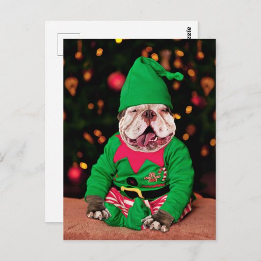 Merry Pitmas, Pit Bull Style Briefkaart (Voorkant / Achterkant)