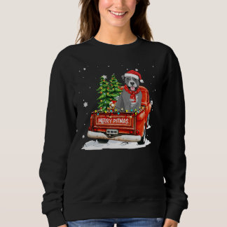 Merry Pitmas Pitbull Pickup Truck Trui