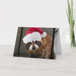 Merry Raccoon Kerstmis Feestdagen Kaart
