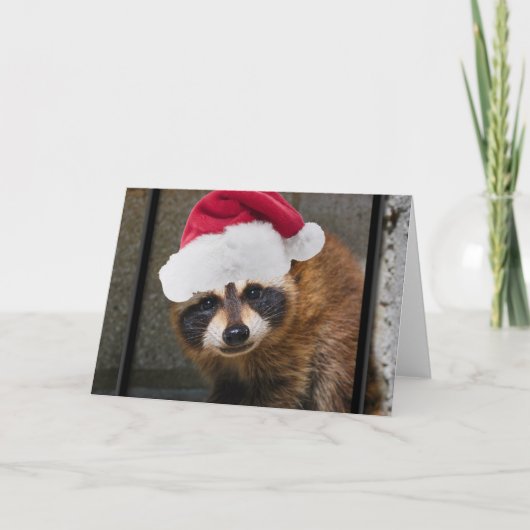 Merry Raccoon Kerstmis Feestdagen Kaart (Voorkant)