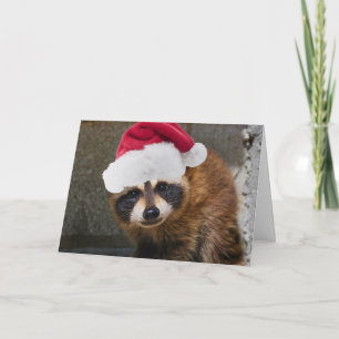 Merry Raccoon Kerstmis Feestdagen Kaart