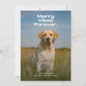 Merry Vibes Forever Dog Foto van Kerstmis Feestdagenkaart (Voorkant)