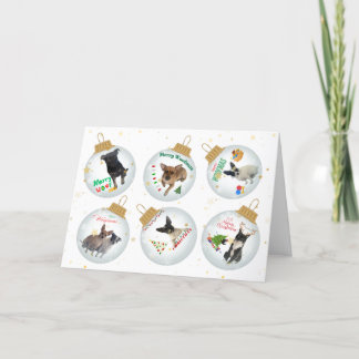 Merry - Woofmas Christmas Kaart