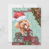 Merry Woofmas. Funny Poodle Santa Hat Kerstmis Notitiekaartje (Voorkant)