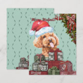 Merry Woofmas. Funny Poodle Santa Hat Kerstmis Notitiekaartje (Voorkant / Achterkant)