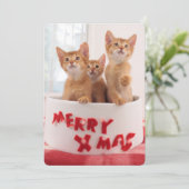 Merry Xmas Katten Feestdagenkaart (Staand voorkant)