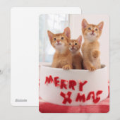 Merry Xmas Katten Feestdagenkaart (Voorkant / Achterkant)