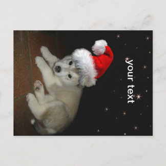 Merry Xmas Puppy Feestdagenkaart