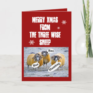 Merry Xmas van de drie wijze schapen Feestdagen Kaart