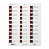 Merry Xmas Wenskaarten Label Sticker (Full Sheet)