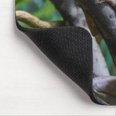 Merten's Water Monitor Muismat (Hoek)