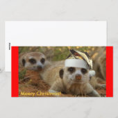 Mery Christmas Zaphod - Fotokaart Feestdagenkaart (Voorkant / Achterkant)