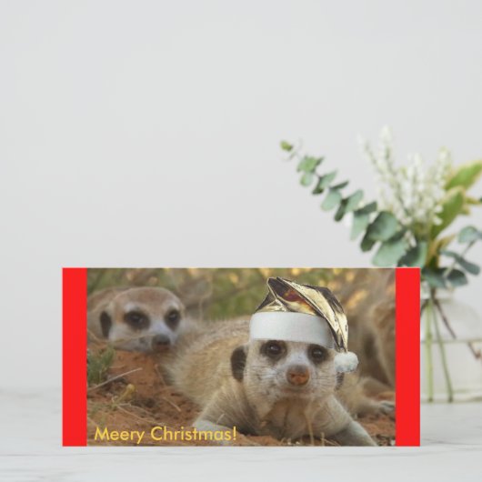 Mery Christmas Zaphod - Fotokaart Feestdagenkaart (Staand voorkant)