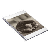 MES01BWD1 Bal in handschoen.tif Notitieboek (Rechterzijde)
