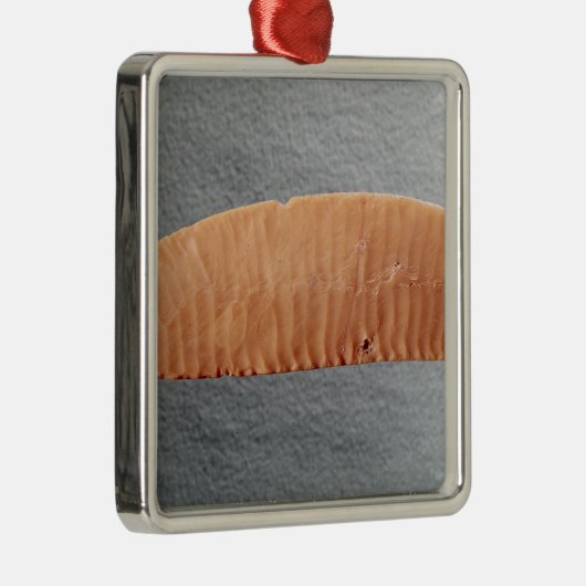 mes metalen ornament (Rechts)