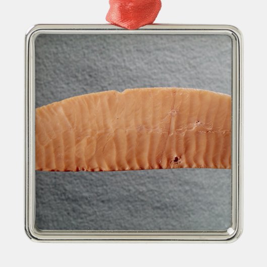 mes metalen ornament (Voorkant)