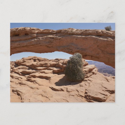 Mesa Arch en Tumbleweed bij Canyonlands Briefkaart (Voorkant)