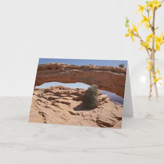 Mesa Arch en Tumbleweed bij Canyonlands Kaart (Gele Bloem)