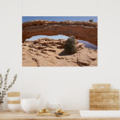 Mesa Arch en Tumbleweed bij Canyonlands Poster (Keuken)