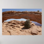 Mesa Arch en Tumbleweed bij Canyonlands Poster (Voorkant)