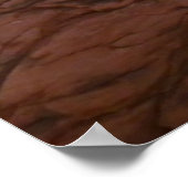 Mesa Arch van het Canyonlands National Park Poster (Hoek)