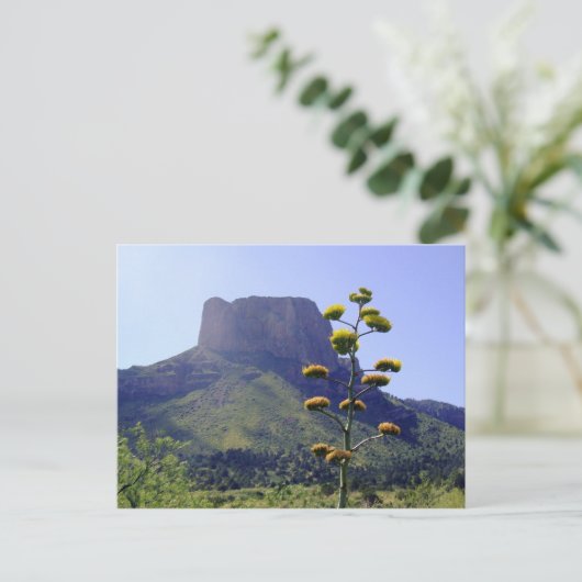 Mesa en blooming maguey 1 briefkaart (Staand voorkant)