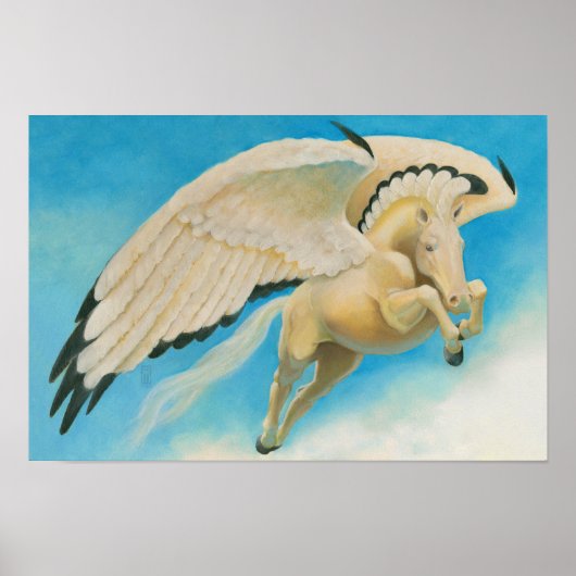 Mesa Pegasus Detail Poster (Voorkant)
