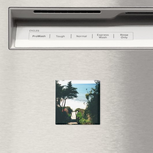 Mesa-stadions Magneet (Insitu (Vaatwasser))