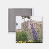 Mesa Temple Magnet (Voorkant / Achterkant)