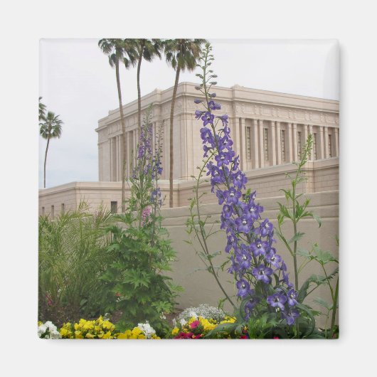 Mesa Temple Magnet (Voorkant)