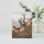 Mesa Verde Briefkaart (Staand voorkant)