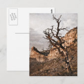 Mesa Verde Briefkaart (Voorkant / Achterkant)