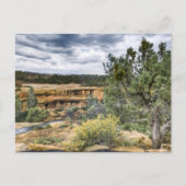 Mesa Verde Cliff Woningen Briefkaart (Voorkant)