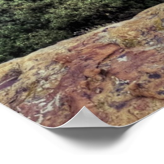 mesa Verde Cliff Woningen Poster (Hoek)