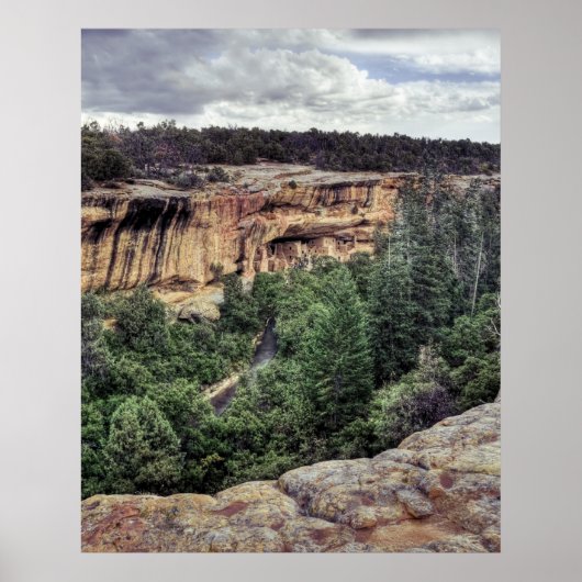 mesa Verde Cliff Woningen Poster (Voorkant)