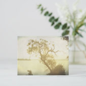 Mesbest Tree bij Cedar Hill art briefkaart (Staand voorkant)