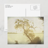 Mesbest Tree bij Cedar Hill art briefkaart (Voorkant / Achterkant)
